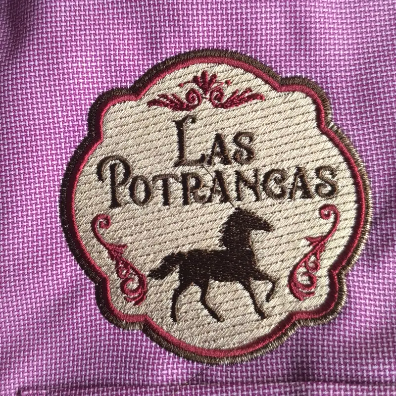 Parche bordado de un caballo sobre una camisa rosa